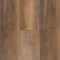 Titanium Plus-Sessile Oak
