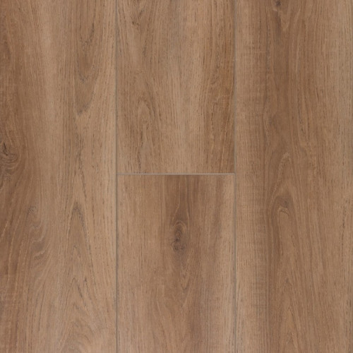 Titanium Plus-Sunflower Oak