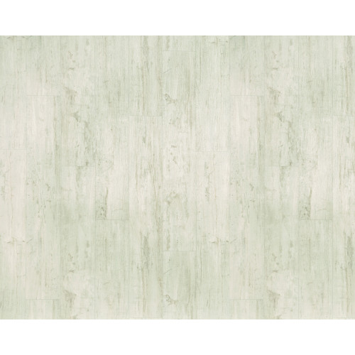 Stone Harbor - Seagull