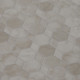 Oceana - Shell Oceana - Shell
