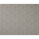 Oceana - Shell Oceana - Shell