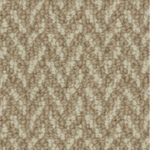 Textural Delight - Perfect Beige