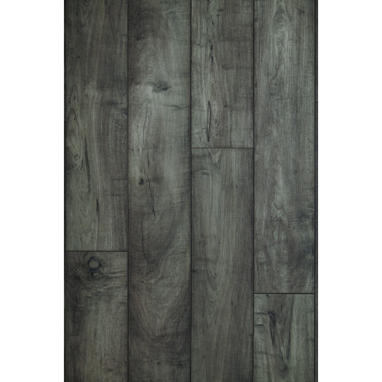 Woodland Maple - Mist Woodland Maple - Mist