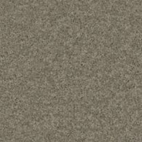 211Hb - Scottish Fog