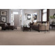 Elegant Appeal III - Vintage Elegant Appeal III - Vintage