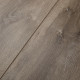 Blacksmith Oak - Steam Blacksmith Oak - Steam