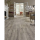 Blacksmith Oak - Steam Blacksmith Oak - Steam