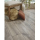 Blacksmith Oak - Steam Blacksmith Oak - Steam