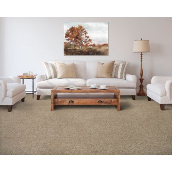Sp830 - Tradition Sp830 - Tradition