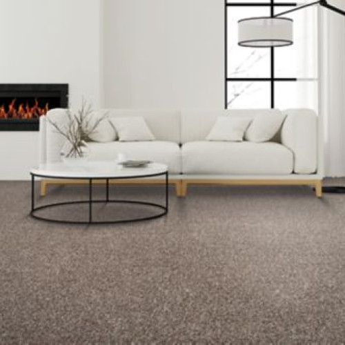 Sp399 - Brushed Suede