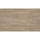 Revival - Willow Revival - Willow