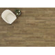 Harmony - Shiitake Harmony - Shiitake