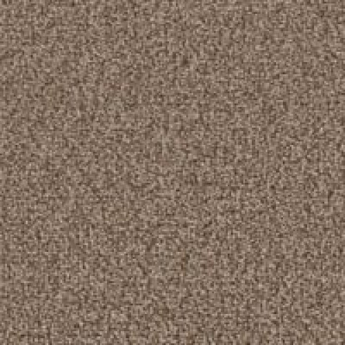 Refined Structure - Tea Biscuit
