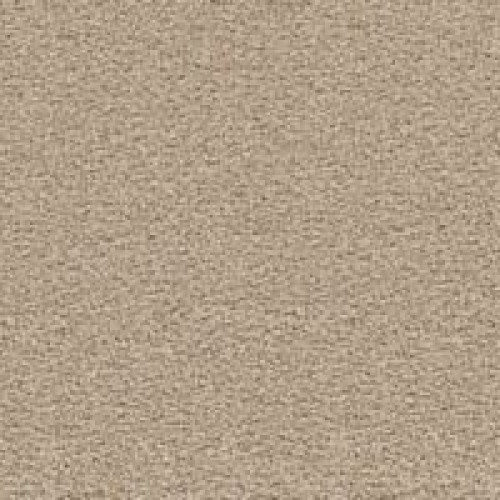Bold Choice - Dune