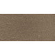 Bold Choice - Navajo Path Bold Choice - Navajo Path