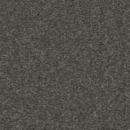 Bold Choice - Quiet Alcove