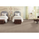 First Class II - Arctic Air First Class II - Arctic Air