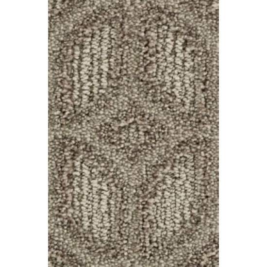 Regal Appeal - Nomad Regal Appeal - Nomad