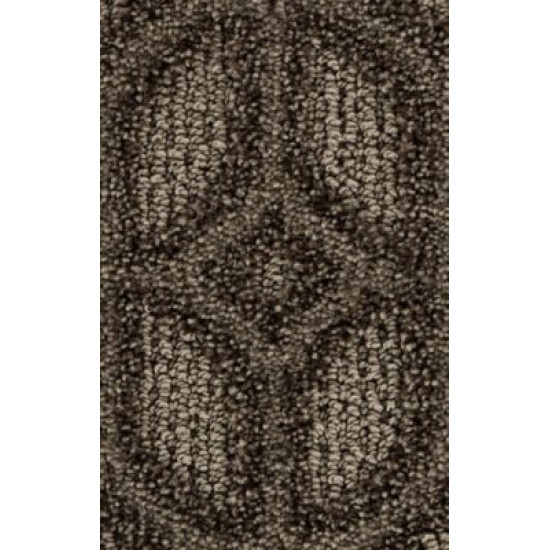 Regal Appeal - Sequoia Regal Appeal - Sequoia