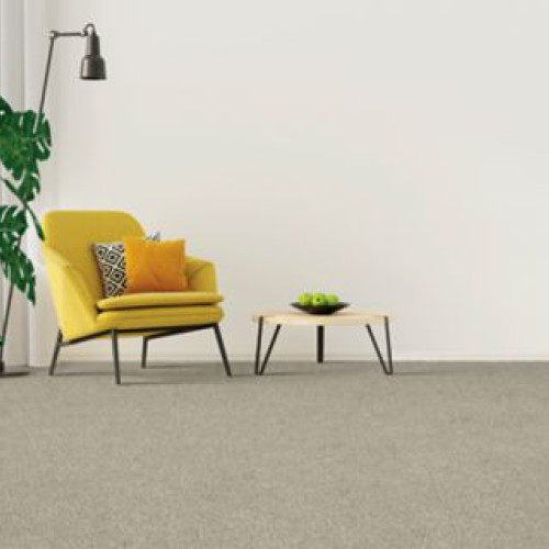 Baymont Tweed - 725