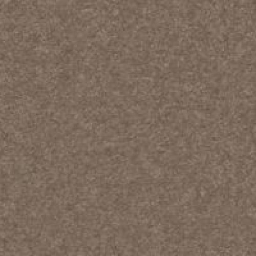 Soft Edition II - Perfect Taupe