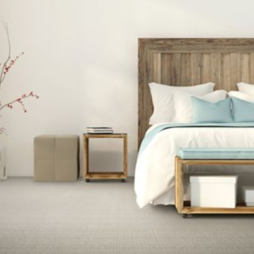 Chic Influence - Acorn Trail