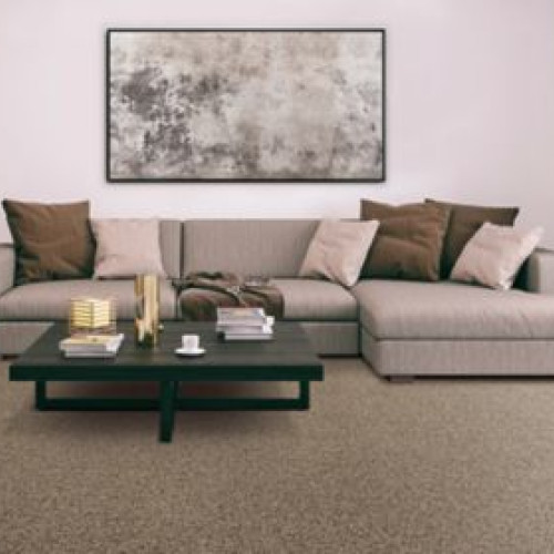 Bold Option - Allure