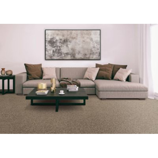 Bold Option - Allure Bold Option - Allure