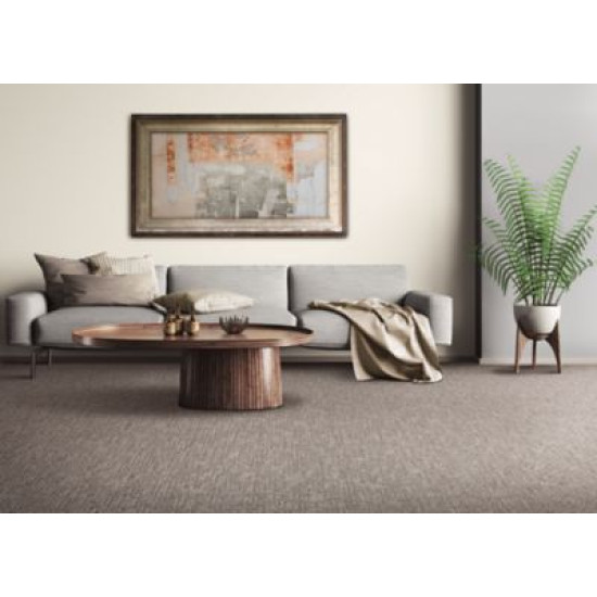 Structured Delight - Spartan Structured Delight - Spartan