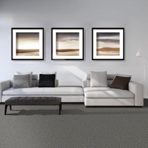 Renovate I - Shimmer Ash