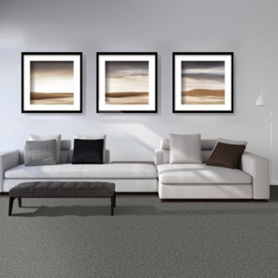 Renovate I - Silver Dollar Renovate I - Silver Dollar