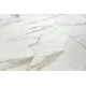 Carrara - Pearl Carrara - Pearl