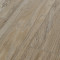 Spalted Wych Elm - Wild Flower