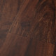 Acacia - African Sunset Acacia - African Sunset