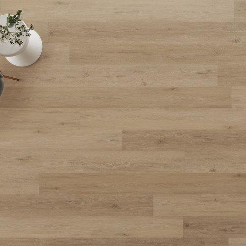 Regency Oak - Polished Platinum