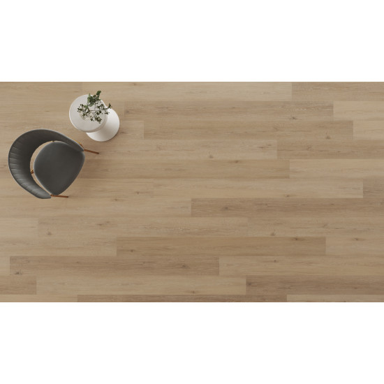 Regency Oak - Polished Platinum Regency Oak - Polished Platinum