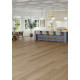 Regency Oak - Polished Platinum Regency Oak - Polished Platinum