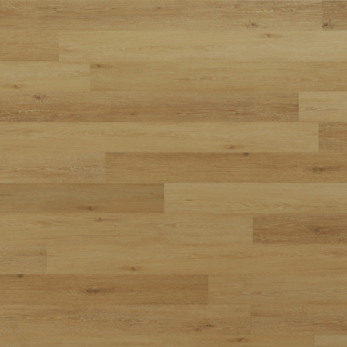 Regency Oak - Gilded Gold