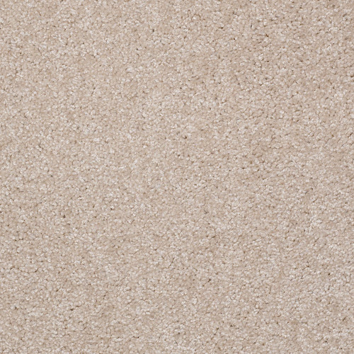 JET SET - Utterly Beige 00106