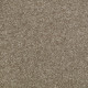 VICTORY - Calming 00541 VICTORY - Calming 00541