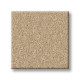 SANDY HOLLOW I 12' - Cashew 00106 SANDY HOLLOW I 12' - Cashew 00106