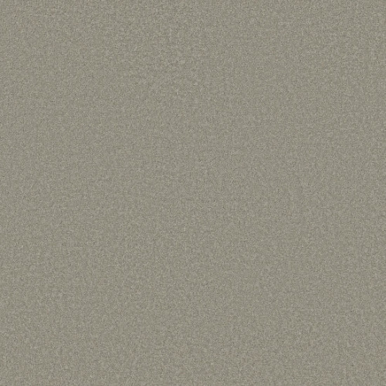 SANDY HOLLOW I 12' - Silver Charm 00500 SANDY HOLLOW I 12' - Silver Charm 00500