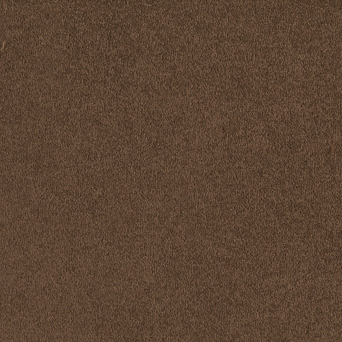 EVERYDAY COMFORT (S) - Dark Spice 00713