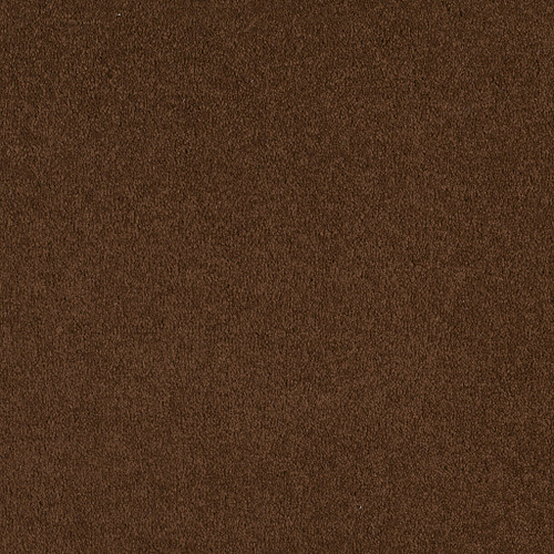 SANDY HOLLOW CLASSIC I 12' - Tortoise Shell 00707