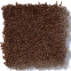 SANDY HOLLOW I 12' - Tortoise Shell 00707