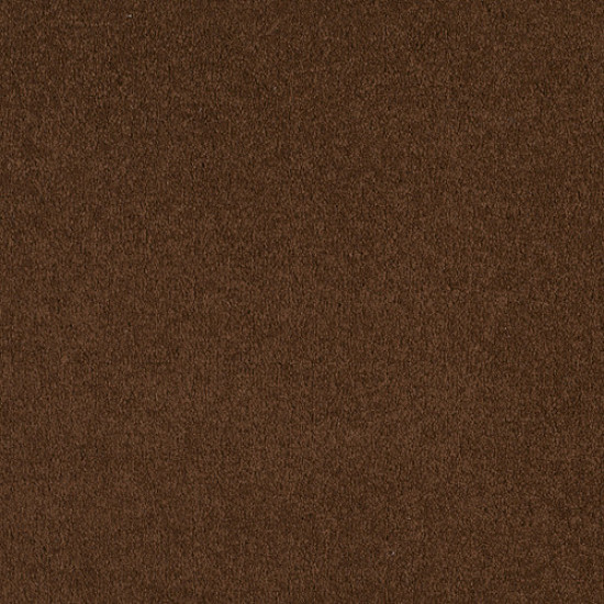 SANDY HOLLOW I 12' - Tortoise Shell 00707