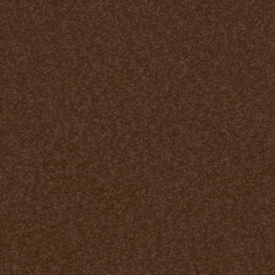 SANDY HOLLOW I 12' - Tortoise Shell 00707