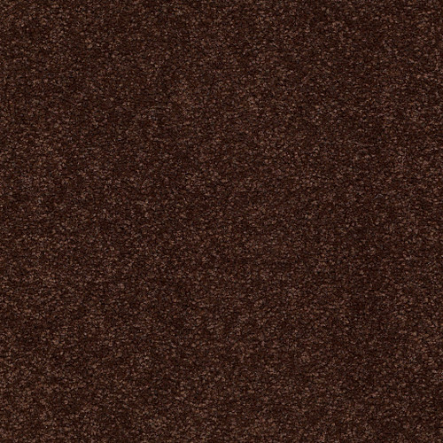 SANDY HOLLOW CLASSIC I 12' - Coffee Bean 00711