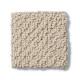 SMART THINKING - Espresso 00192 SMART THINKING - Espresso 00192
