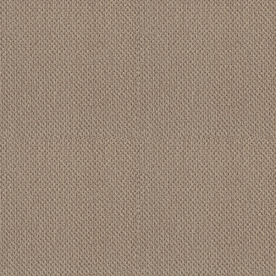 SMART THINKING - Espresso 00192 SMART THINKING - Espresso 00192